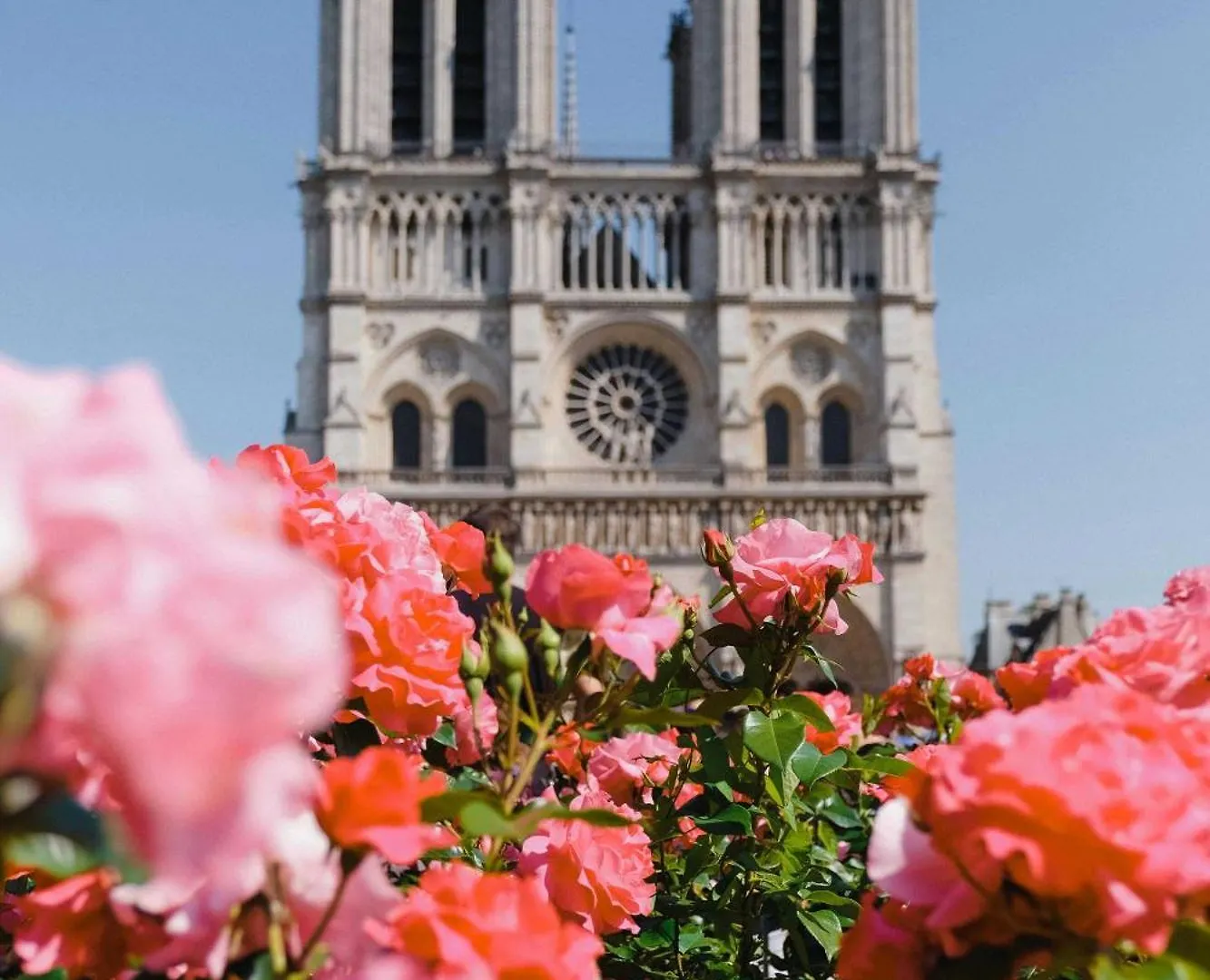 Cozy - 2br-4p - Cathedrale De Notre Da *
